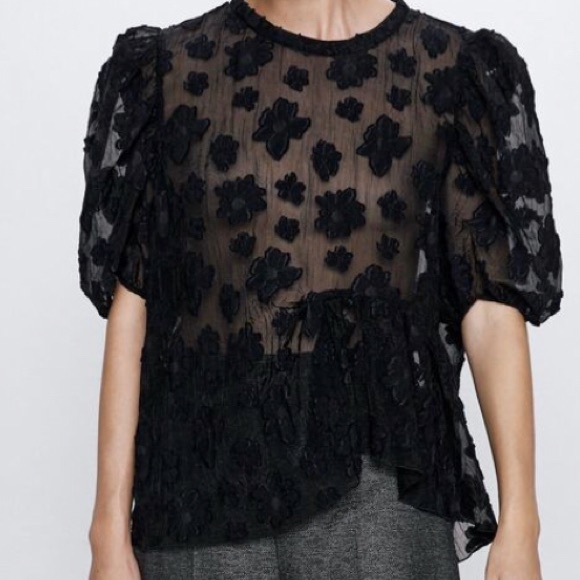 Zara Tops - Zara Organza Top with Puff Sleeves Asymmetric Hem